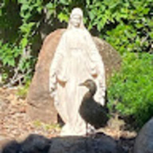 Meet your Posher, Jennifer bohan